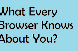 What every browser knows about you?