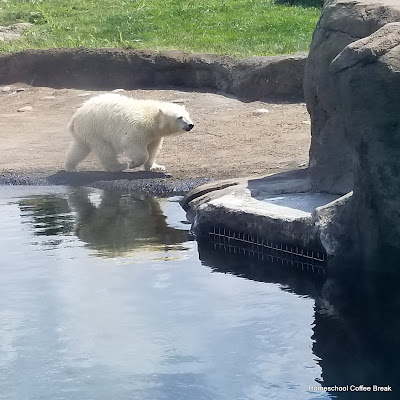 A Columbus Zoo PhotoJournal on Homeschool Coffee Break @ kympossibleblog.blogspot.com