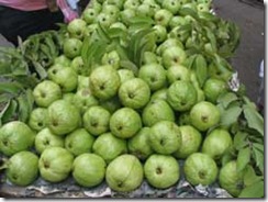 Vietnamese Guava