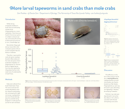 Poster titled, "More larval tapeworms in sand crabs than mole crabs" with large box plot in center.