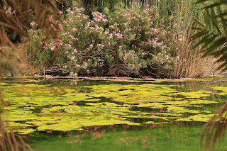 Plaża Preveli