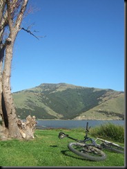 DSCF5206