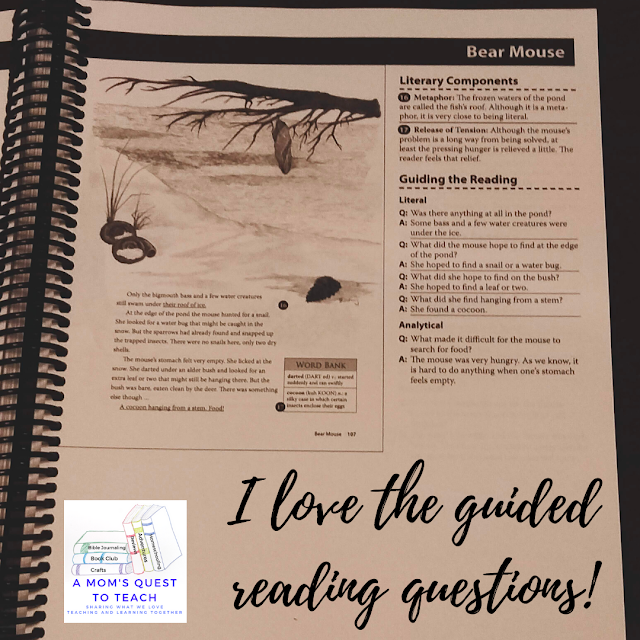 A Mom's Quest to Teach:  Building Reading Comprehension and Fluency Skills: A Review of Mosdos Press Literature - Opal - I love the questions