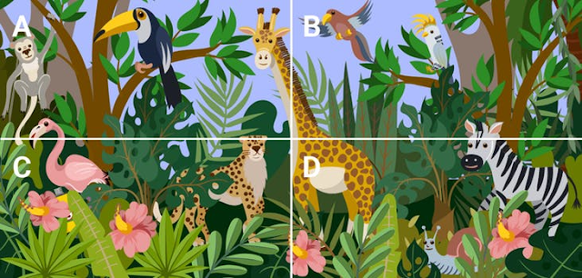 Safari Hidden Objects Quiz Answers