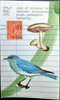 bluebird mushroom postage stamp library card Fluxus mail art collage