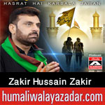https://www.humaliwalayazadar.com/2015/09/zakir-hussain-zakir-nohay-2009-to-2016.html