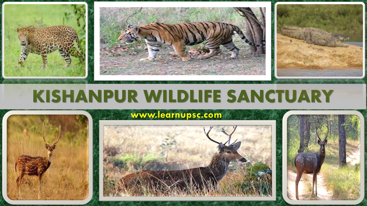 Kishanpur Wildlife Sanctuary - Learn UPSC
