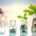 What are Multibagger stocks ?