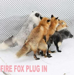 funny fire fox plug in