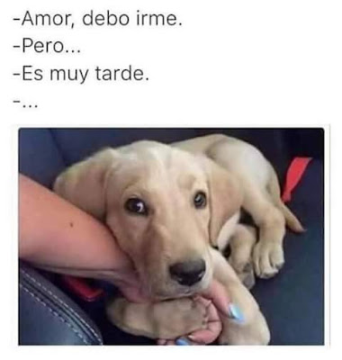 Imagenes chidas de amor