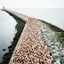 Everyday People - Spencer Tunick