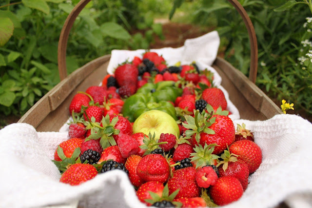 Basket of strawberries and blackberries