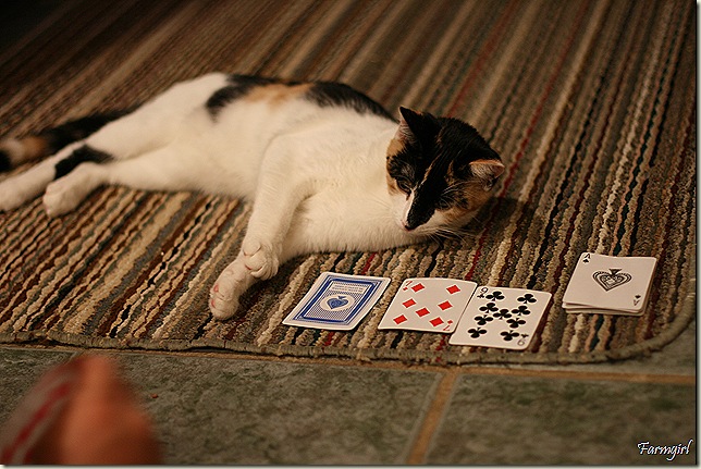 Puddles playing cards-2