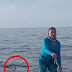 ΗΠΑ: Καρχαρίας ακολουθούσε γυναίκα που έκανε SUP -Η απίστευτα ψύχραιμη αντίδρασή της