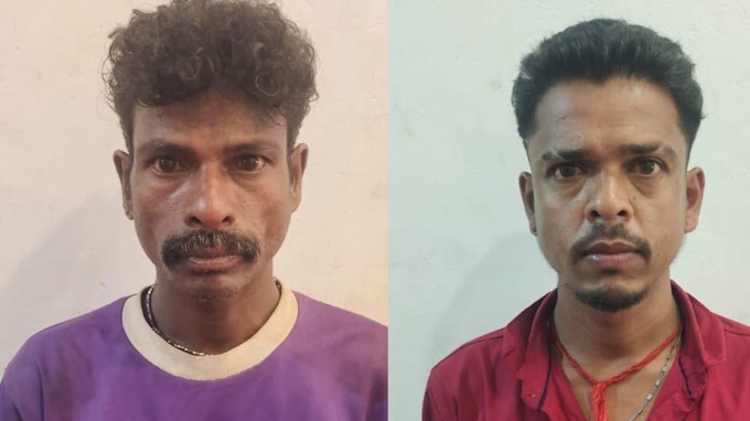  ತೆಂಗಿನಕಾಯಿ ಕಳವು-ಎರಡು ಪ್ರತ್ಯೇಕ ಕೇಸು: ಇಬ್ಬರ ಬಂಧನ