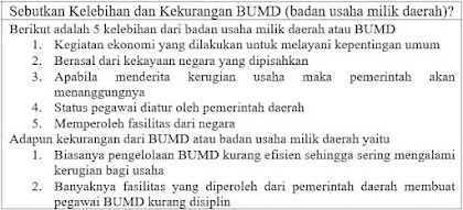 Sebutkan kelebihan dan kekurangan BUMD (badan usaha milik daerah)?