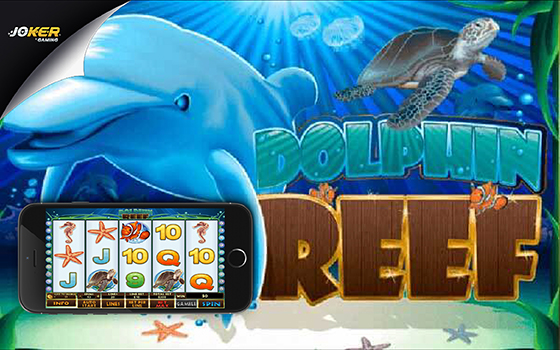 Slotxo Dolphin Reef