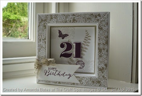 Butterfly Basics 21st Box Frame Card 001