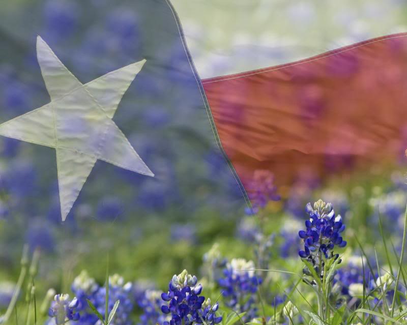 bluebonnet clip art. I went to THREE different High