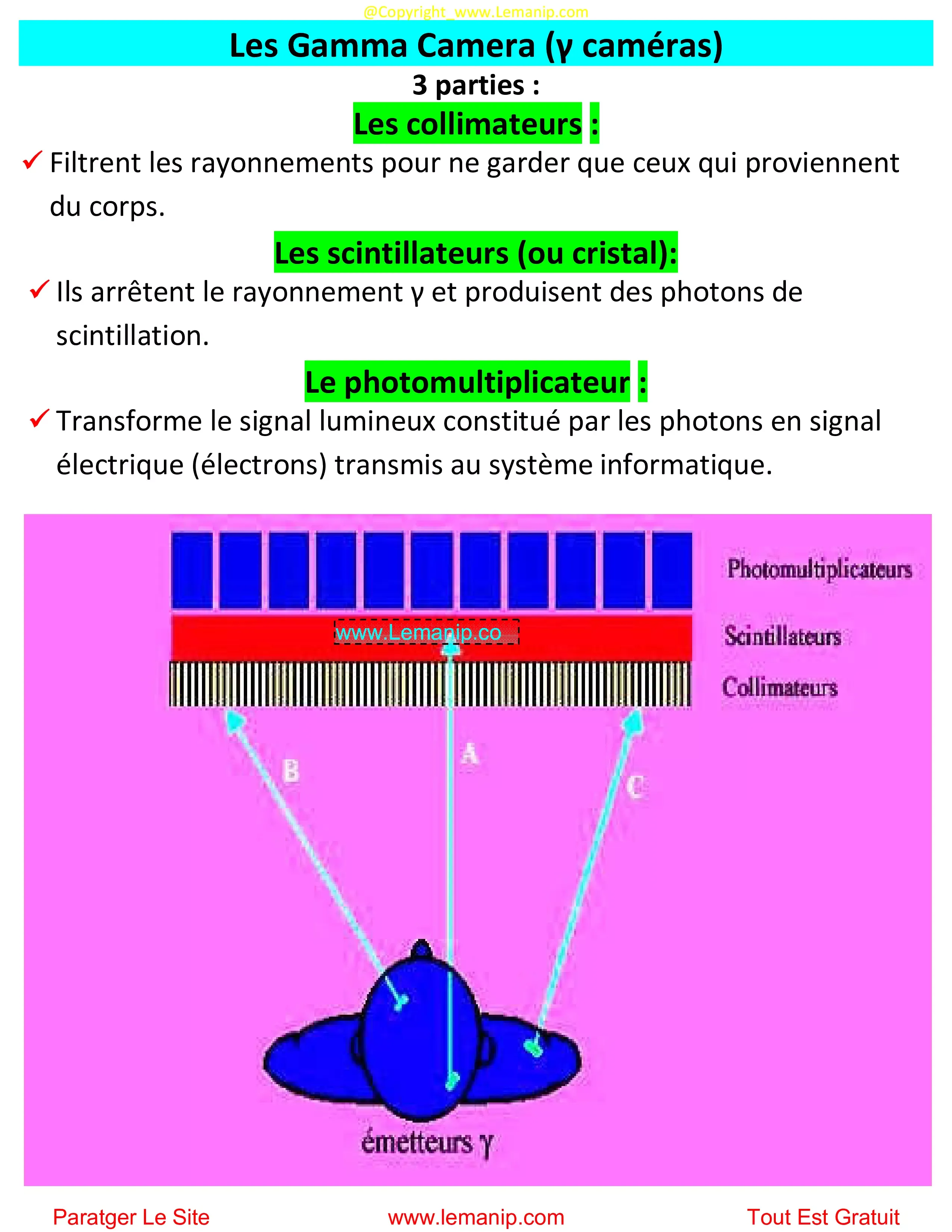 Gamma Camera (γ caméras)