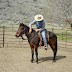 Russell B. Hunston - Central Oregon Professional Horse Trainer -
541-323-6945