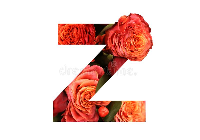 Z অক্ষরের ছবি | Z পিকচার | নামের অক্ষরের ছবি Z