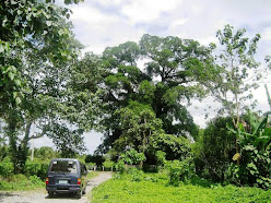 rumah6 10 Tempat Paling Angker di Dunia