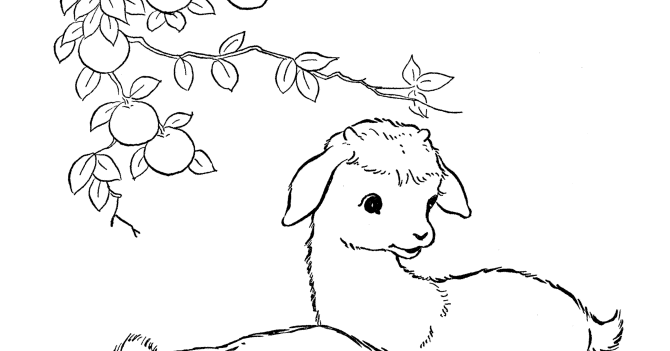 Download Free Farm Animal Coloring Pages high resolution