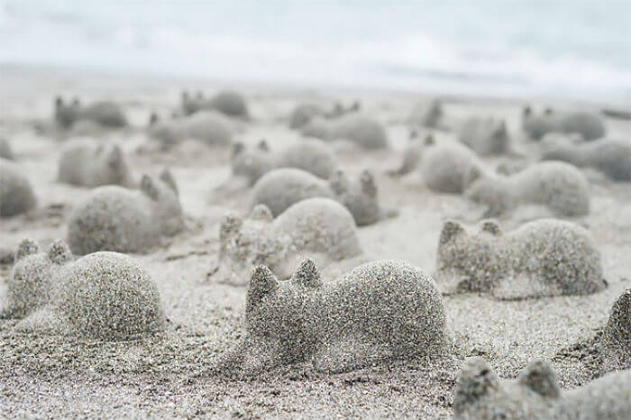 From Rice To Sand, This Japanese Cat Mold Can Transform Anything Into A Cat