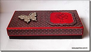 Geschenkverpackung-Box (2) aa