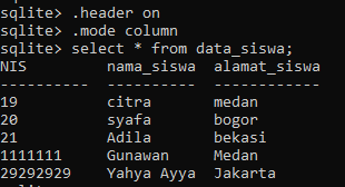 merapihkan tampilan tabel sqlite