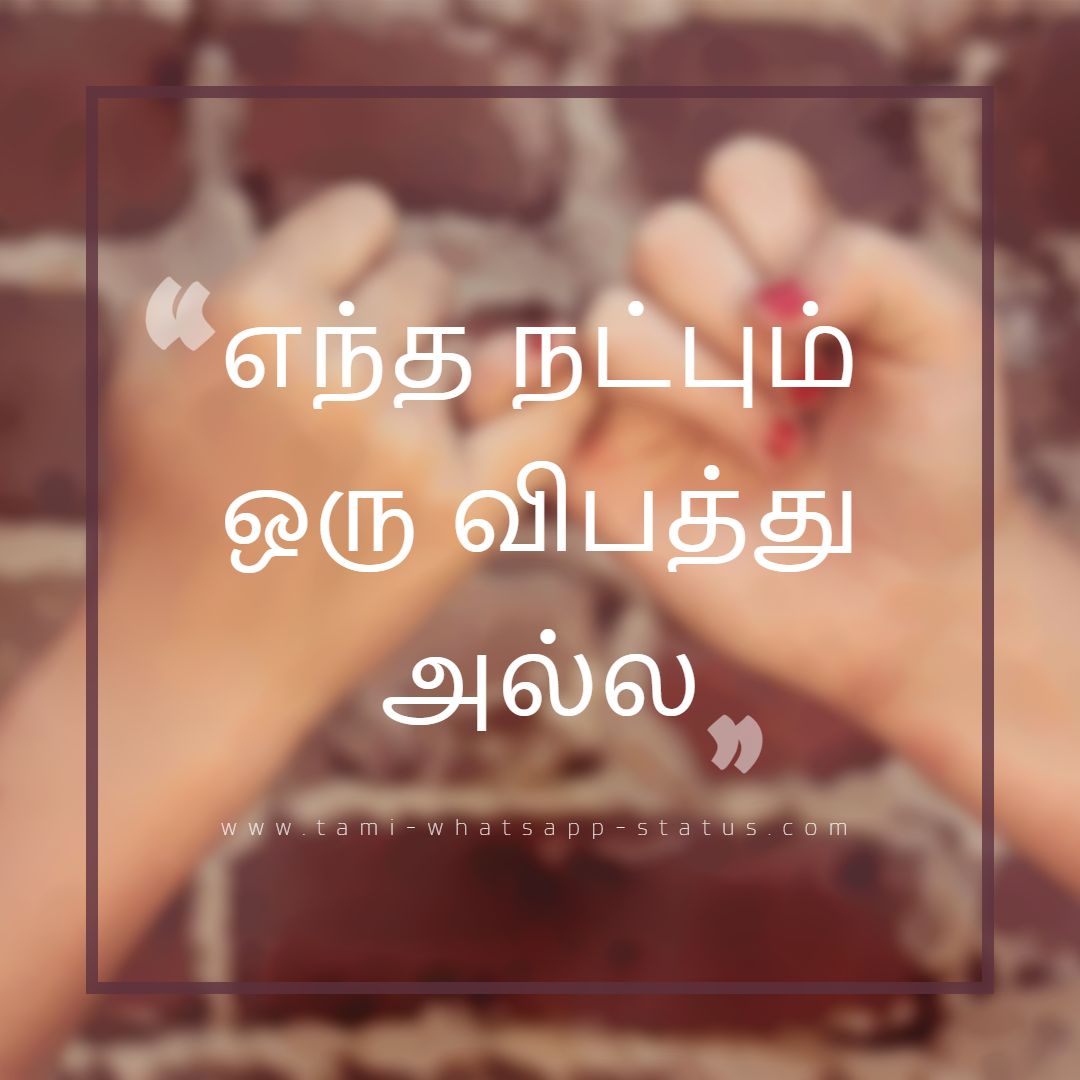 Friendship quotes tamil