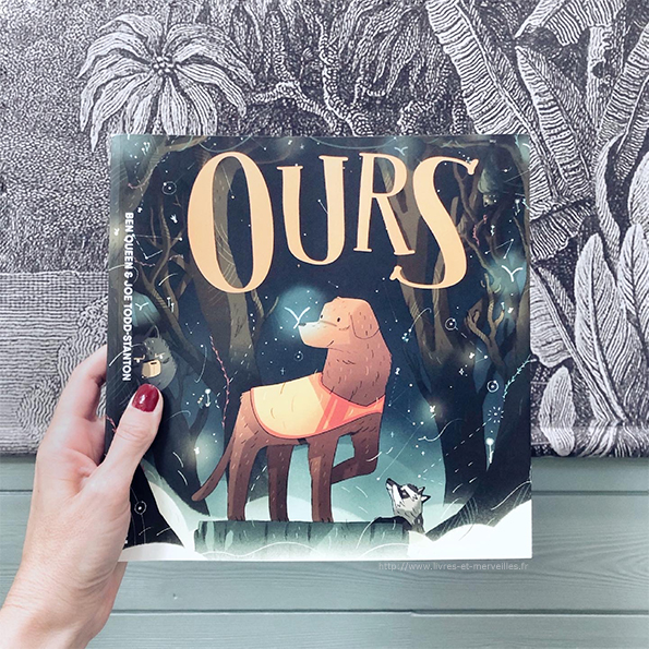 Bd jeunesse :  Ours Illustrée par Joe Todd-Stanton