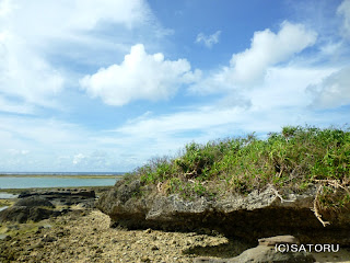 石垣島 大浜の海 風景写真