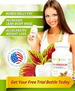 Best Forskolin Free Trial