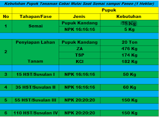 Cara Cepat Menghitung Kebutuhan Pupuk Tanaman Cabai dari Semaian hingga Panen