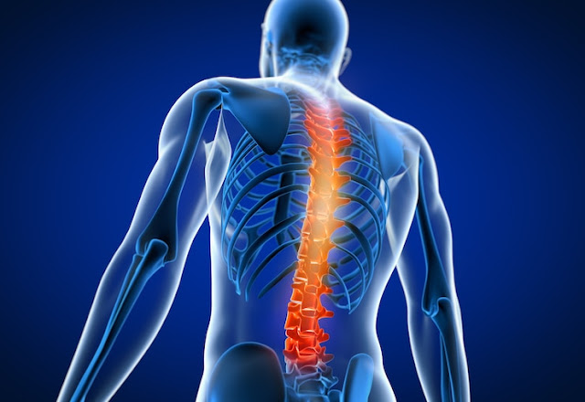 An Overview of back pain sides