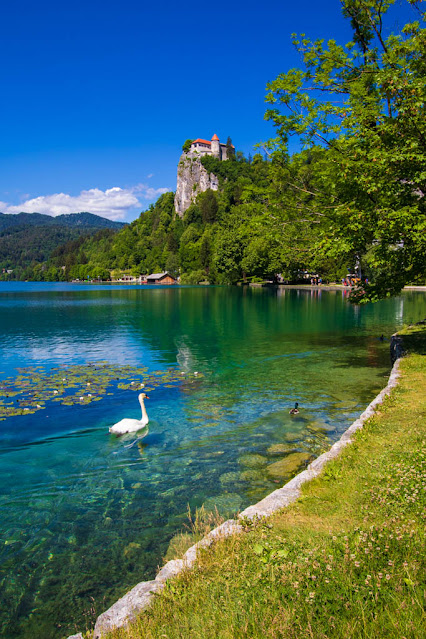 Lago di Bled-Slovenia