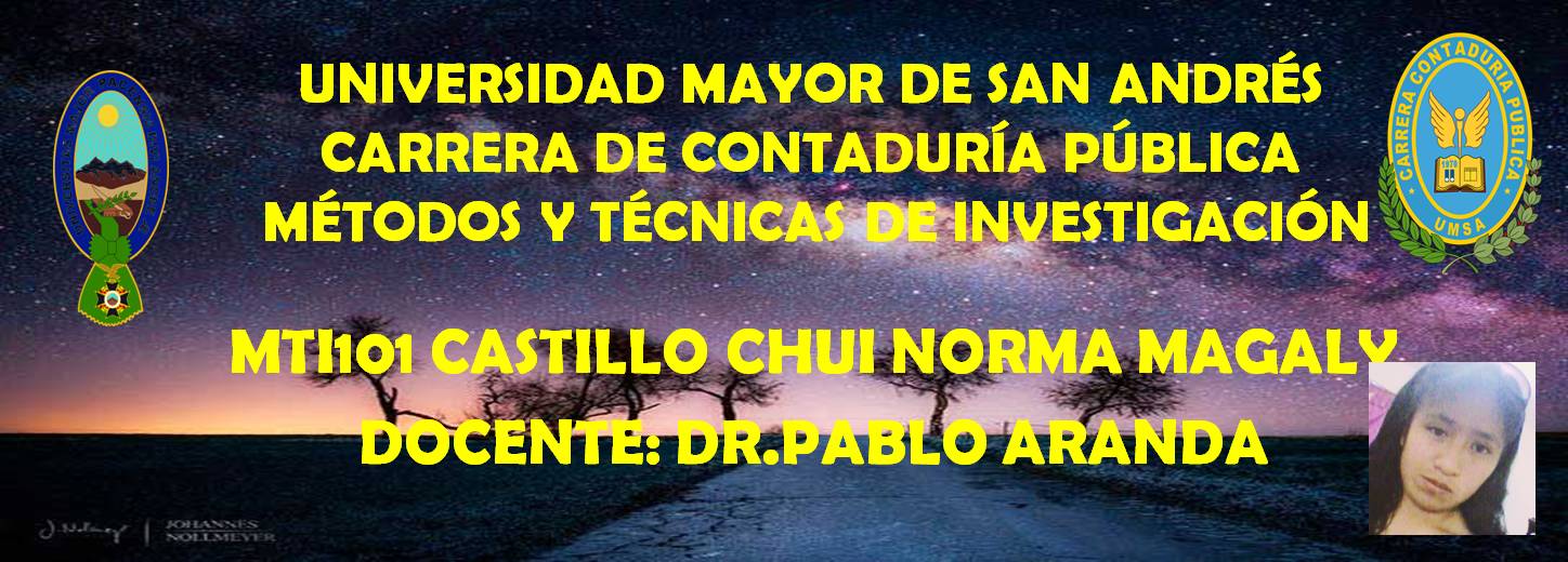 CASTILLO CHUI NORMA MAGALY