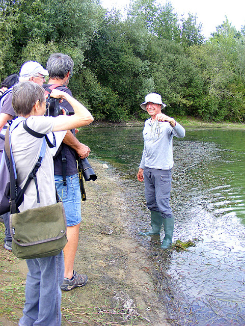 Botanist talking about Vallisneria spiralis, Indre et Loire, France. Photo by Loire Valley Time Travel..