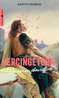 Vercingétorix. Un roman ébouriffant