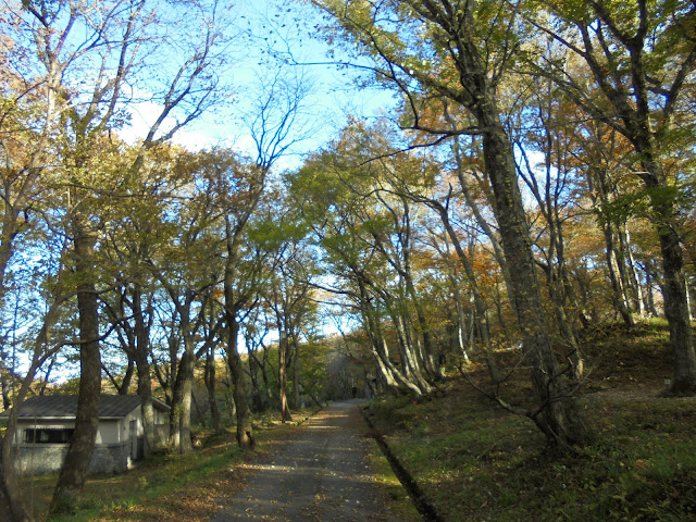 下山キャンプ場