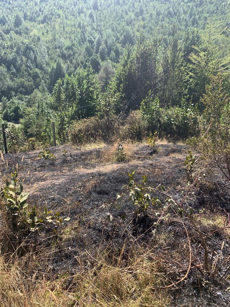 Detienen a sujeto por incendio en sector rural de Panguipulli