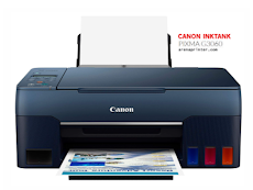 Canon G3060 printer