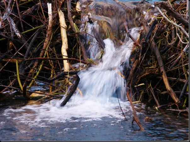 Rushing Water Photo by Here I Am/Carrie