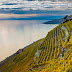 瑞士中部景點交通｜拉沃葡萄園區梯田｜Lavaux Express遊園小火車