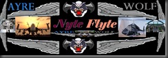 aw nyte flyte header