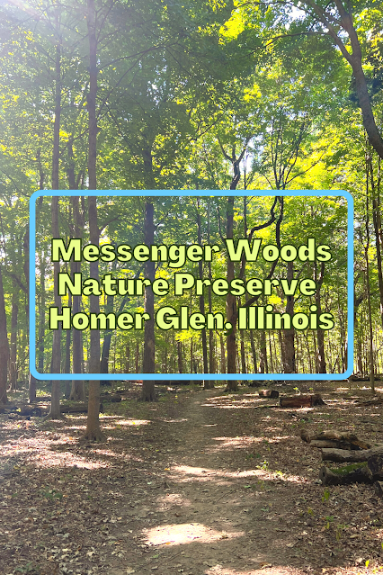 Magical Early Fall Hike Through Messenger Woods Nature Preserve in Homer Glen, Illinois