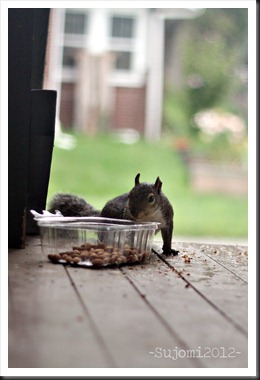 2012 09 06 IMG_6417w
