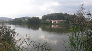 Obrázek